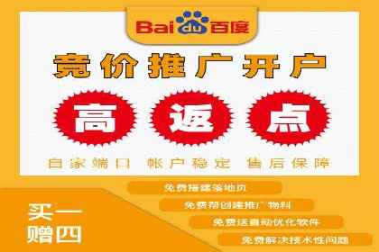 SEM推广案例：打造高效广告投放方案